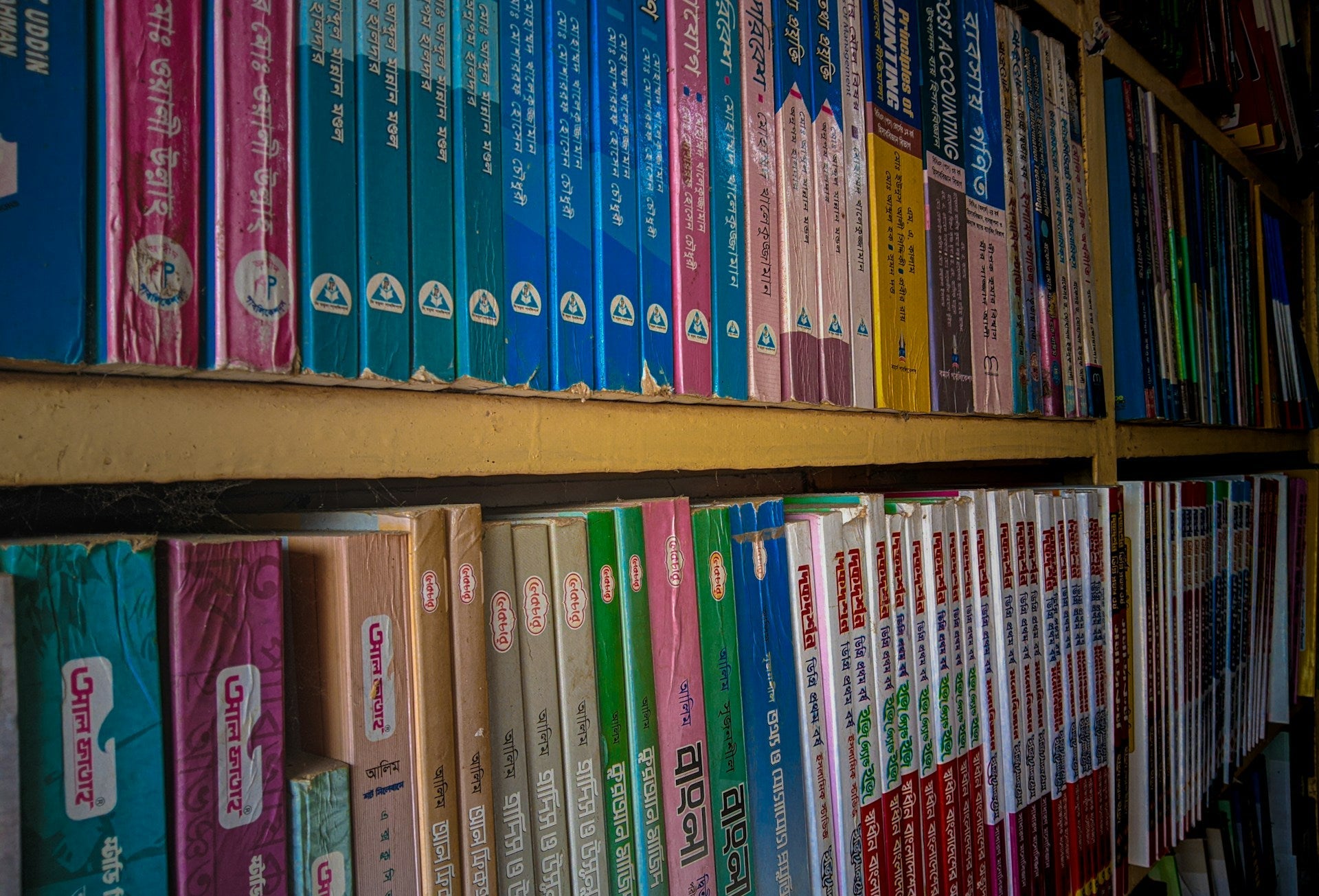 multilingual learner studying Japanese, Thai, and Hindi