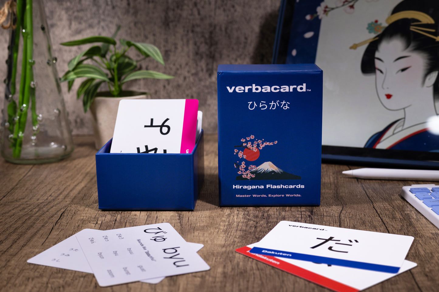 Japanese Hiragana Alphabet Flashcards